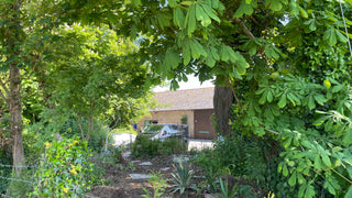 Distillery Garden, Downton, Wiltshire