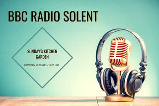Listen to BBC Radio Solent - Gin O'Clock