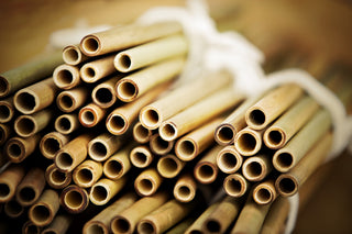 Bamboo Straws; Downton; Recycle