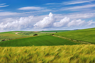Cranborne Chase - Downton Distillery UK