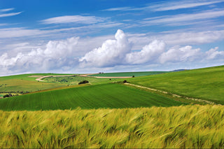 Education | Wiltshire Downs | Cranborne Chase - Downton Distillery UK