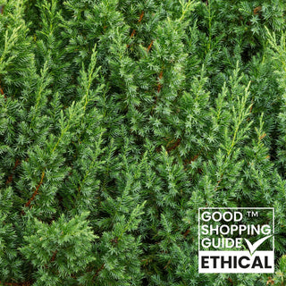 How Ethical are your Spirits? - Downton Distillery UK