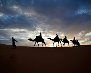 Queen of the Desert - Downton Distillery UK