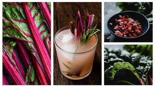 Rhubarb Gin & Infusions - Downton Distillery UK