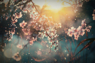 Spring Review of Gin Market - Downton Distillery UK