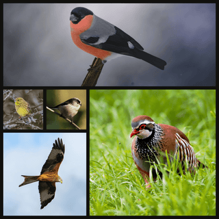 Walking on Wick Down - Downton Distillery UK