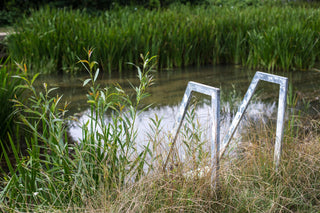 Wild Swimming - Downton Distillery UK