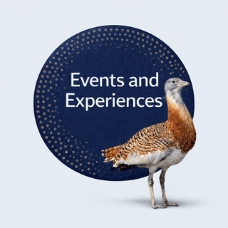 Events and Experiences - Downton Distillery UK
