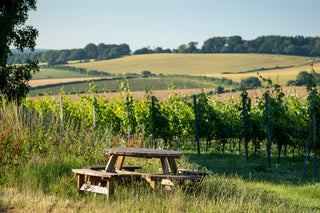 Wooden picnic table in a vineyard with rolling hills and trees in the background.