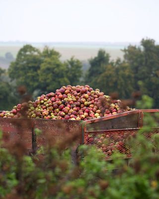 Cart full of harvested fruits with a natural background