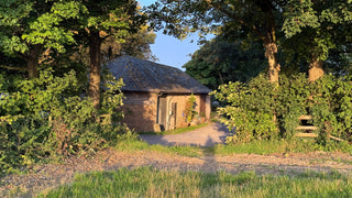 Small brick building surrounded by trees and greenery