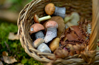 A close-up of a woven wicker basket filled with assorted mushrooms, set against a blurred natural background of green moss and dry leaves.