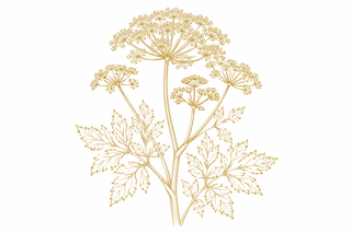 Plant in gold line on a white background.