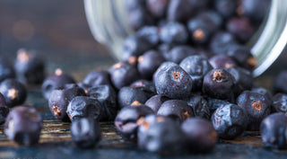 Juniper, Gin, Downton Distillery, Botanical