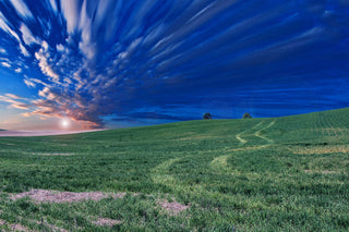 Wiltshire Downs, Sunset, ridge, botley farm, wiltshire