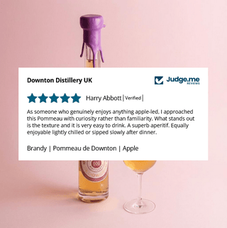 Brandy | Pommeau de Downton | Apple - Downton Distillery UK