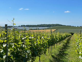 Chardonnay Vodka - Downton Distillery UK