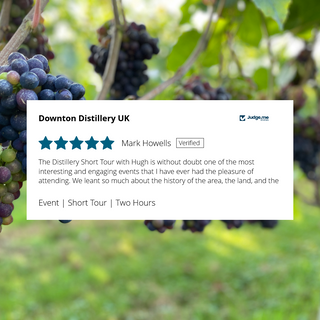 Bunches of grapes with a TripAdvisor review overlay on a blurred background