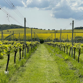 Tour - Short - Downton Distillery UK