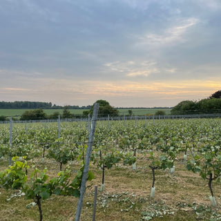 Tour - Short - Downton Distillery UK